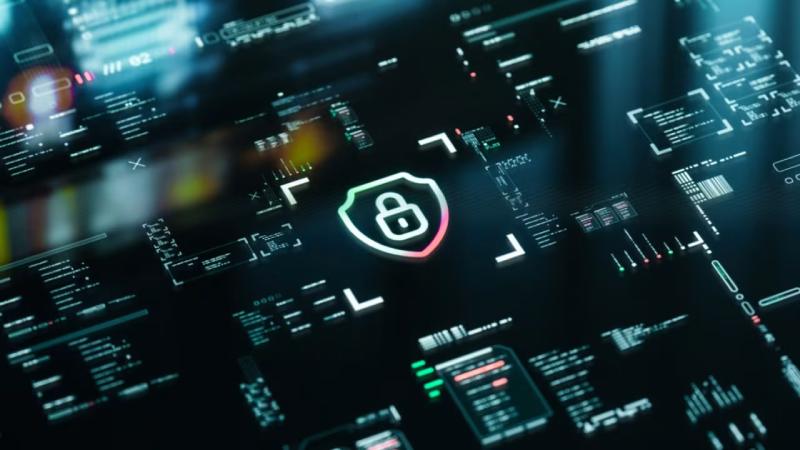 吐鲁番软件开发公司